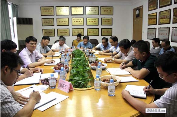 USDT数字钱包(中国区)官方网站