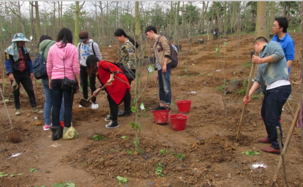 USDT数字钱包(中国区)官方网站