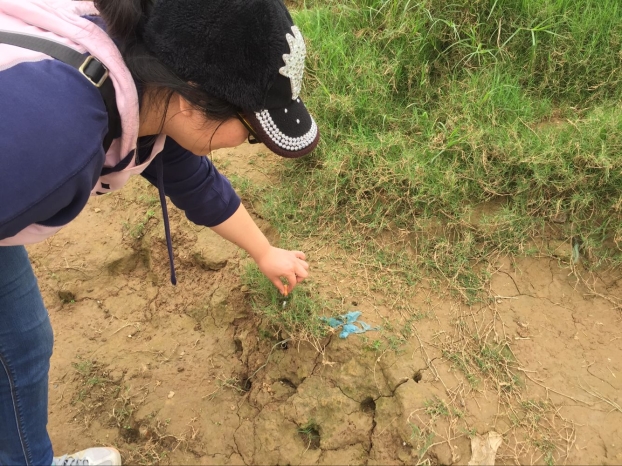 USDT数字钱包(中国区)官方网站