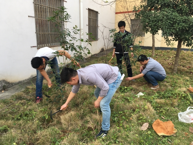 USDT数字钱包(中国区)官方网站