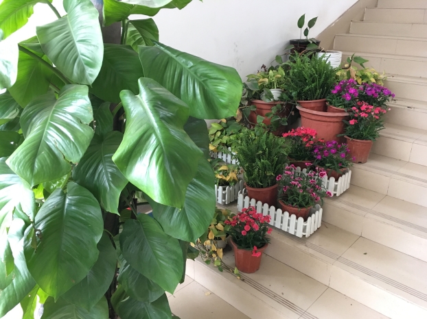 USDT数字钱包(中国区)官方网站