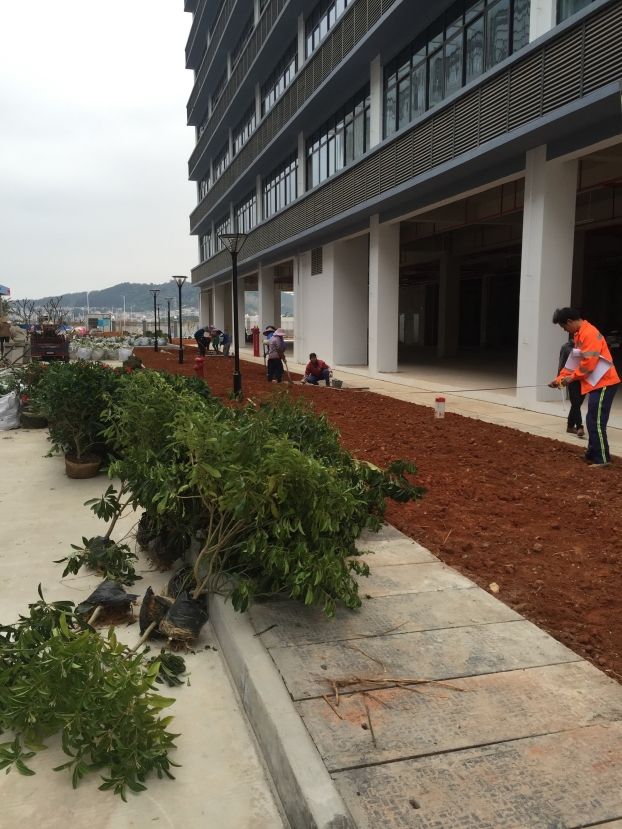 USDT数字钱包(中国区)官方网站