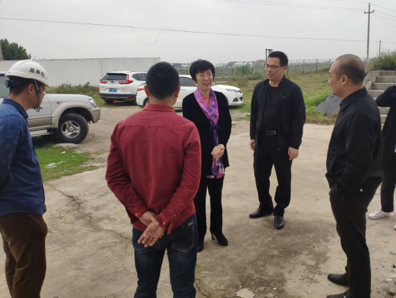 11辛红梅视察项目。梁荣程 摄700.png