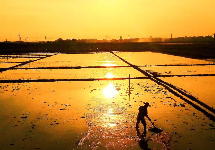 5摄影文章《耕作》获三等奖。韦荣伟 摄-13768307144700.jpg