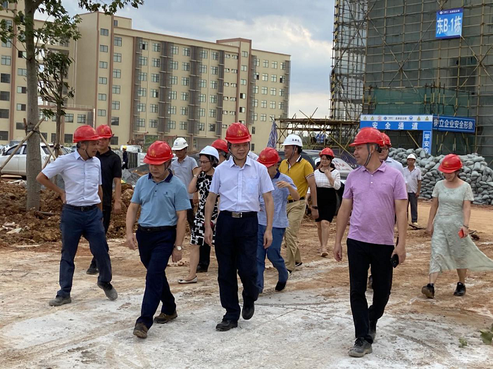 调研现场。韦艳兰 摄.png