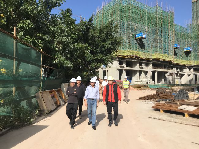 查抄工地现场；莆氖 摄（建图）.jpg