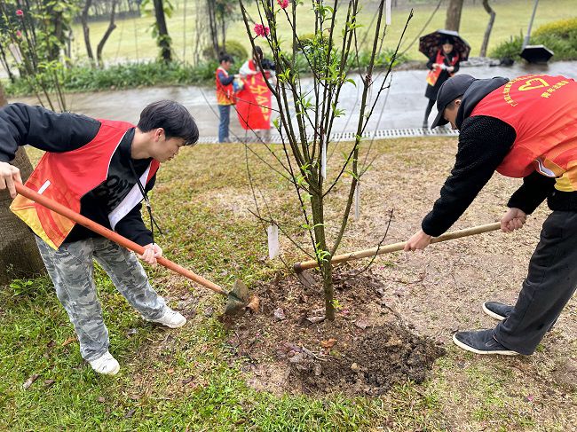 为树苗松土固基。周煜川 摄（建图）.jpg